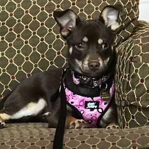 Meet your Posher, Jeff